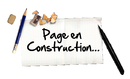 cg49e page en construction1